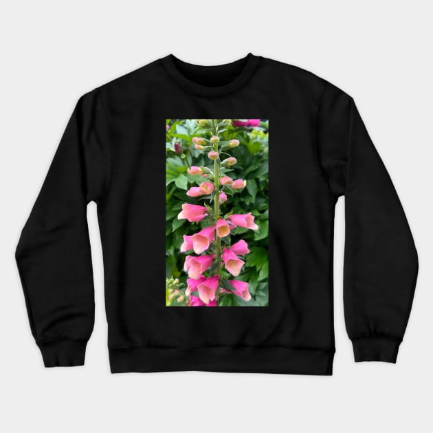 Perennial Pink Foxglove Flower Crewneck Sweatshirt by Photomersion